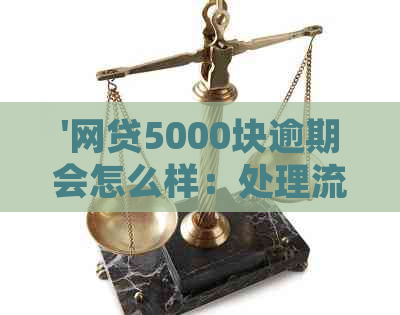 '网贷5000块逾期会怎么样：处理流程与后果解析'