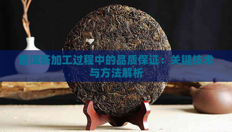 普洱茶加工过程中的品质保证：关键技术与方法解析