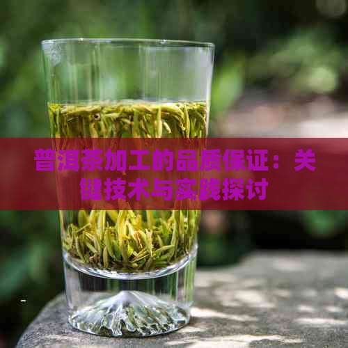 普洱茶加工的品质保证：关键技术与实践探讨