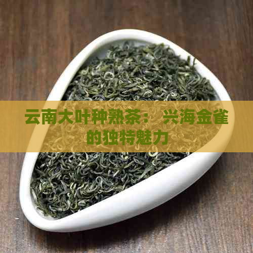 云南大叶种熟茶： 兴海金雀的独特魅力