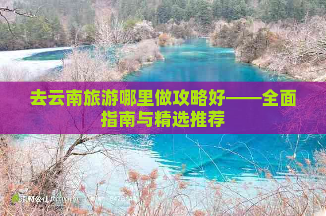 去云南旅游哪里做攻略好——全面指南与精选推荐