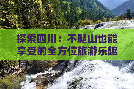 探索四川：不爬山也能享受的全方位旅游乐趣与攻略