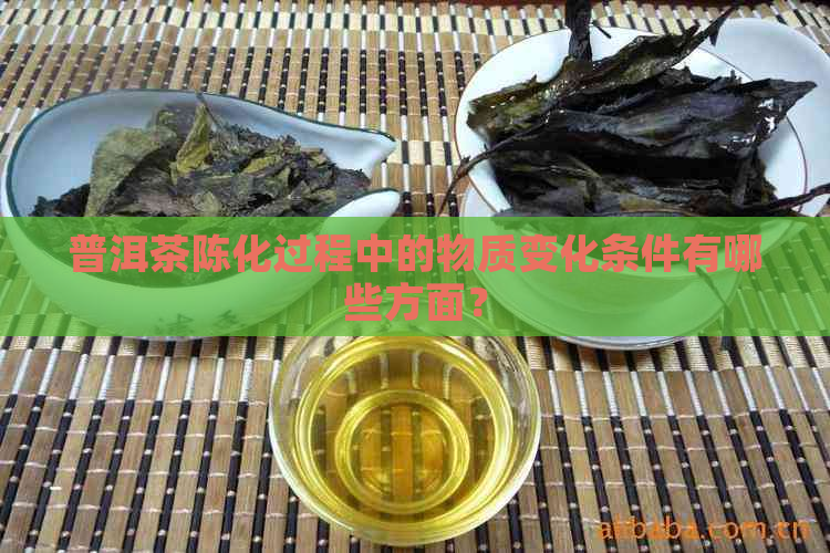 普洱茶陈化过程中的物质变化条件有哪些方面？