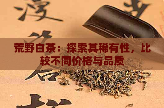 荒野白茶：探索其稀有性，比较不同价格与品质