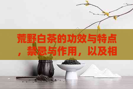 荒野白茶的功效与特点，禁忌与作用，以及相关介绍。