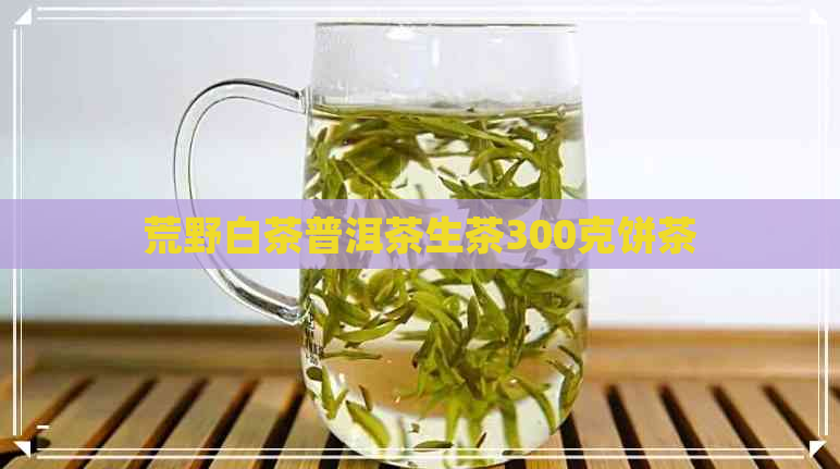 荒野白茶普洱茶生茶300克饼茶