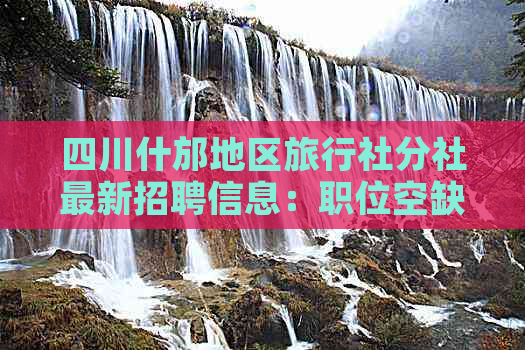 四川什邡地区旅行社分社最新招聘信息：职位空缺、薪资待遇及应聘要求一览