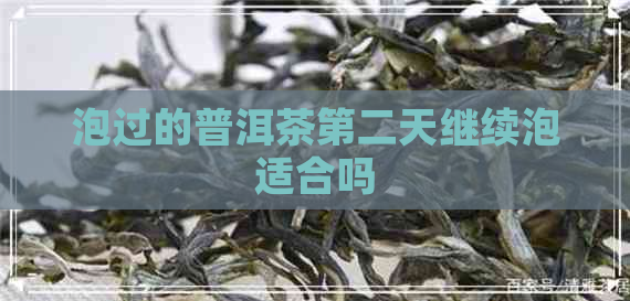 泡过的普洱茶第二天继续泡适合吗