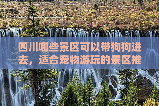 四川哪些景区可以带狗狗进去，适合宠物游玩的景区推荐指南