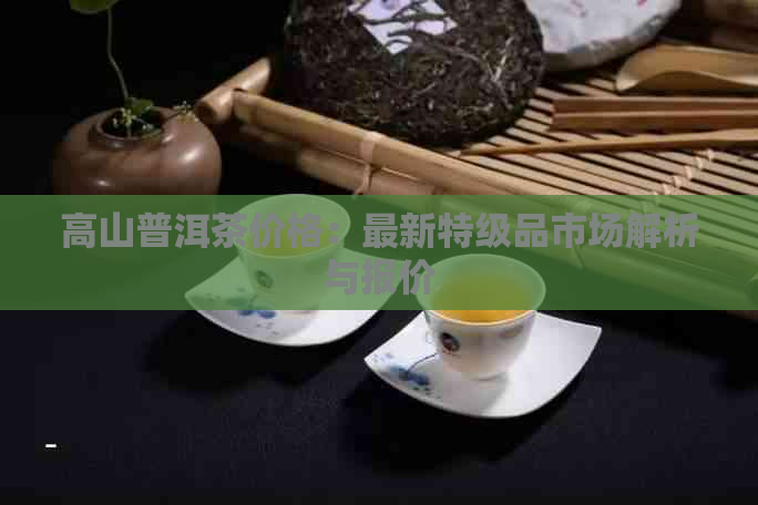 高山普洱茶价格：最新特级品市场解析与报价