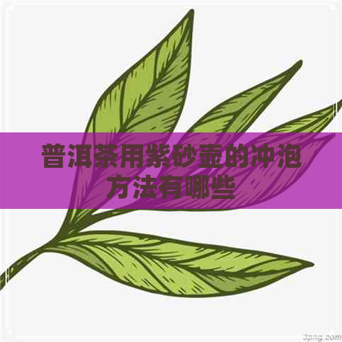 普洱茶用紫砂壶的冲泡方法有哪些