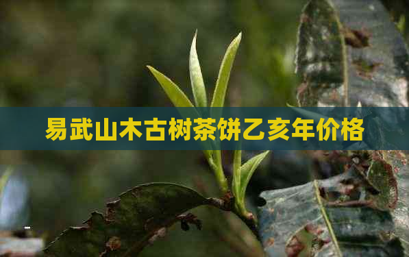 易武山木古树茶饼乙亥年价格