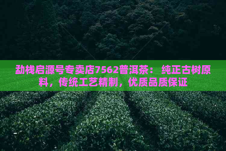 勐栈启源号专卖店7562普洱茶： 纯正古树原料，传统工艺精制，优质品质保证