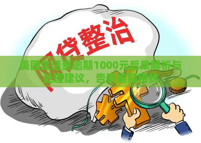 美团生活费逾期1000元后果解析与处理建议，告别逾期困扰