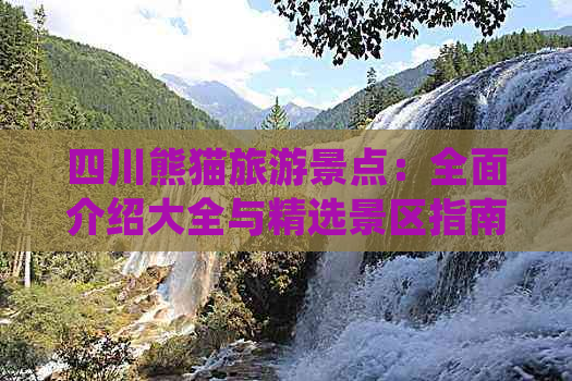 四川熊猫旅游景点：全面介绍大全与精选景区指南