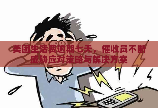 美团生活费逾期七天，员不断应对策略与解决方案