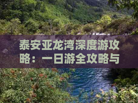 泰安亚龙湾深度游攻略：一日游全攻略与特色体验指南