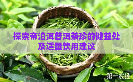 探索帝泊洱普洱茶珍的健益处及适量饮用建议