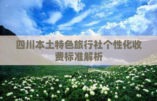 四川本土特色旅行社个性化收费标准解析