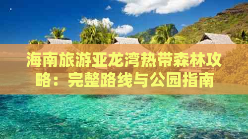 海南旅游亚龙湾热带森林攻略：完整路线与公园指南