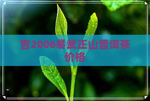 吉2006易武正山普洱茶价格