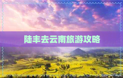 陆丰去云南旅游攻略