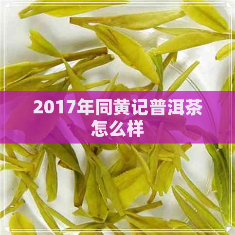 2017年同黄记普洱茶怎么样