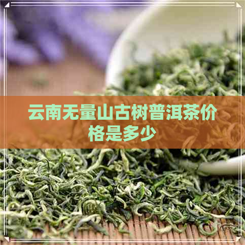 云南无量山古树普洱茶价格是多少