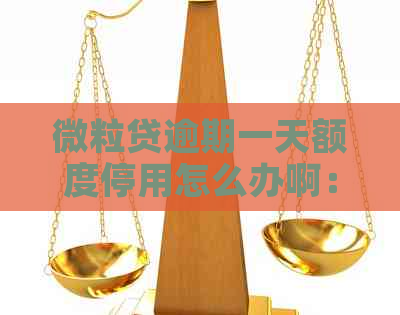 微粒贷逾期一天额度停用怎么办啊：解决、恢复与还款全攻略