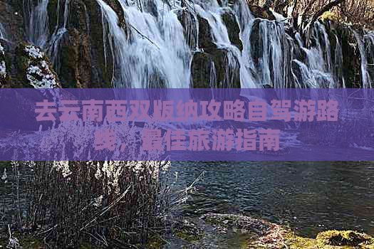 去云南西双版纳攻略自驾游路线，更佳旅游指南