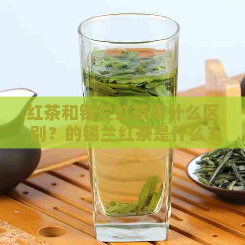 红茶和锡兰红茶有什么区别？的锡兰红茶是什么？