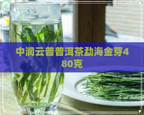 中润云普普洱茶勐海金芽480克