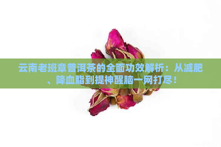 云南老班章普洱茶的全面功效解析：从减肥、降血脂到提神醒脑一网打尽！