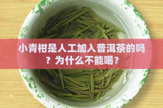 小青柑是人工加入普洱茶的吗？为什么不能喝？