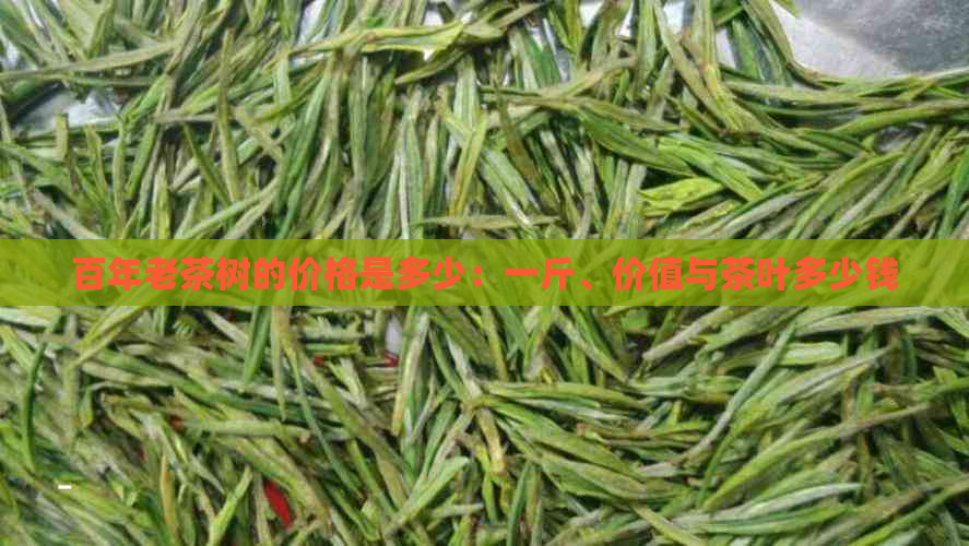 百年老茶树的价格是多少：一斤、价值与茶叶多少钱