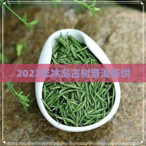 2022年冰岛古树普洱茶饼