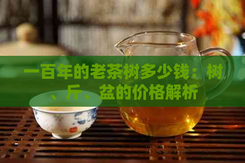 一百年的老茶树多少钱：树、斤、盆的价格解析