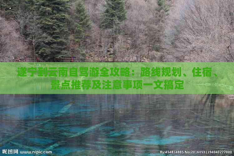 遂宁到云南自驾游全攻略：路线规划、住宿、景点推荐及注意事项一文搞定