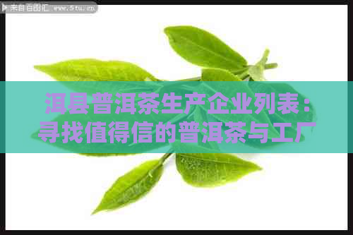 洱县普洱茶生产企业列表：寻找值得信的普洱茶与工厂