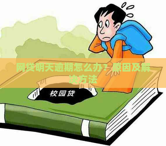 网贷明天逾期怎么办？原因及解决方法