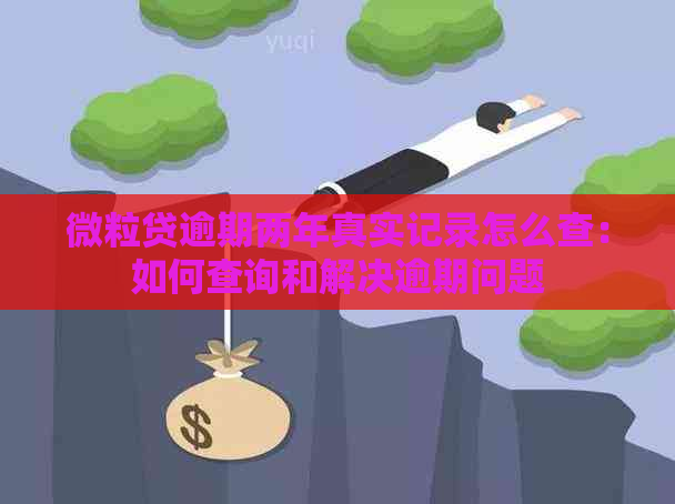 微粒贷逾期两年真实记录怎么查：如何查询和解决逾期问题