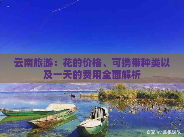 云南旅游：花的价格、可携带种类以及一天的费用全面解析