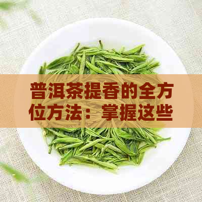 普洱茶提香的全方位方法：掌握这些技巧，让普洱茶更美味！