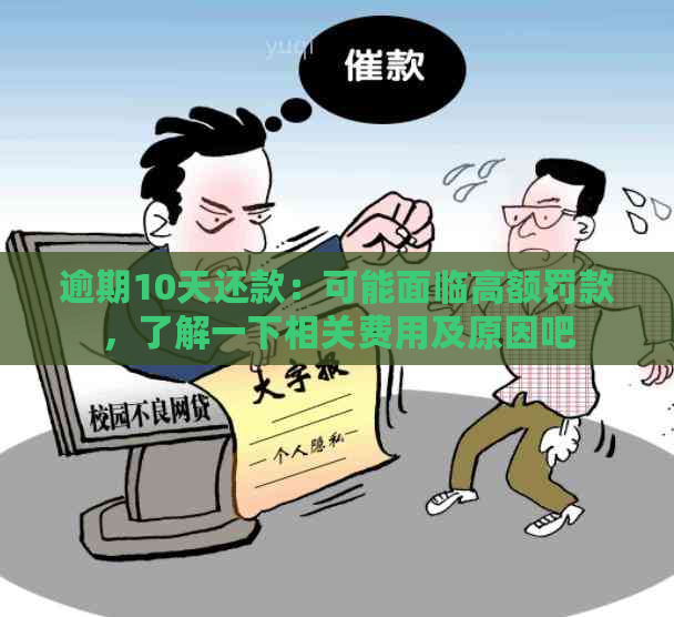 逾期10天还款：可能面临高额罚款，了解一下相关费用及原因吧