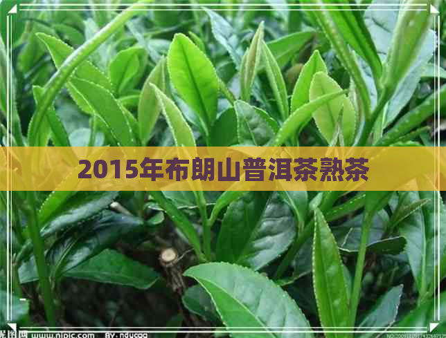 2015年布朗山普洱茶熟茶