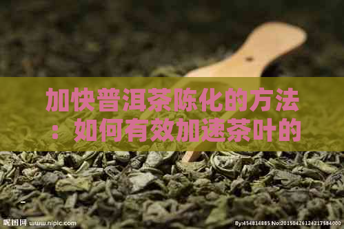 加快普洱茶陈化的方法：如何有效加速茶叶的陈化过程