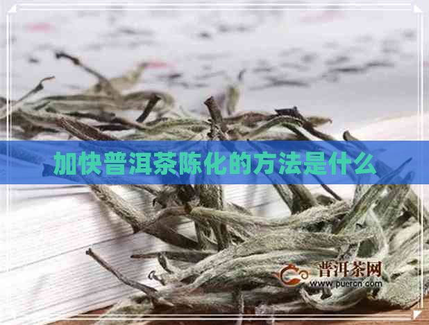 加快普洱茶陈化的方法是什么