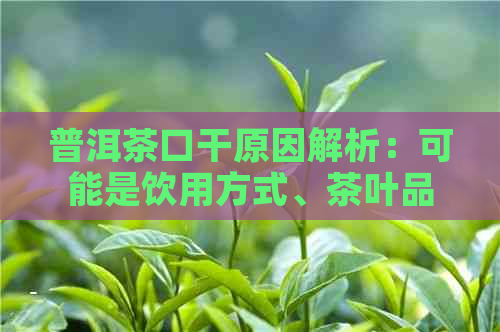 普洱茶口干原因解析：可能是饮用方式、茶叶品质或健状况的影响