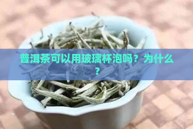 普洱茶可以用玻璃杯泡吗？为什么？