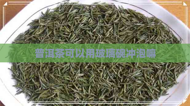 普洱茶可以用玻璃碗冲泡嘛